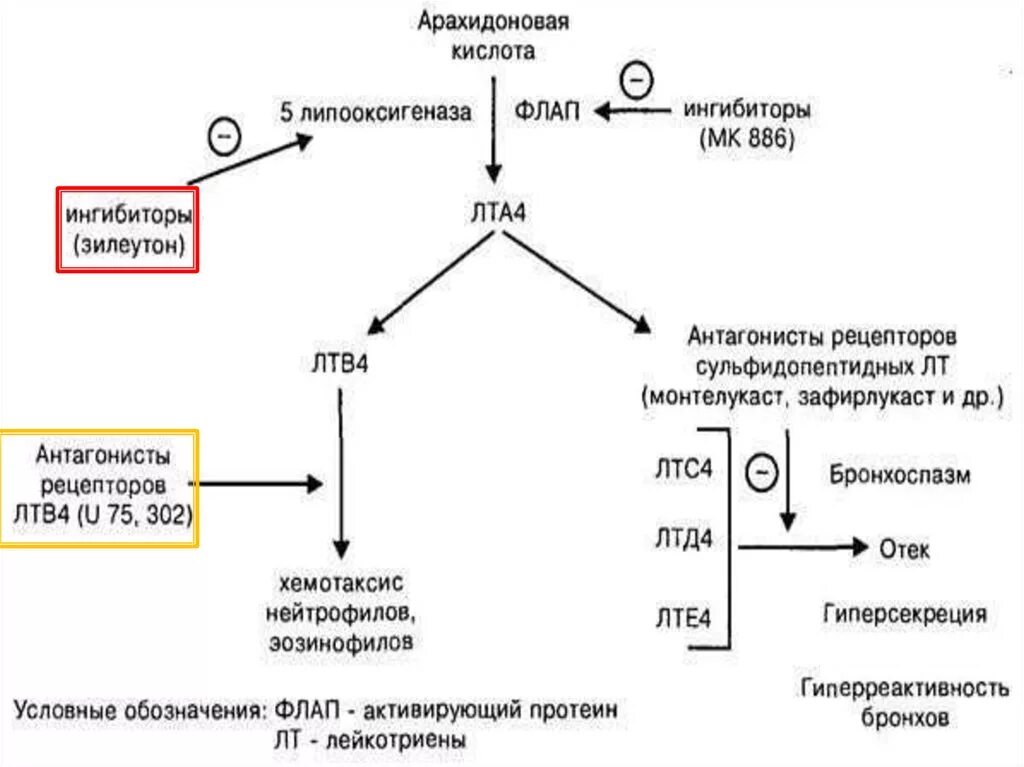 Арахидоновая кислота купить