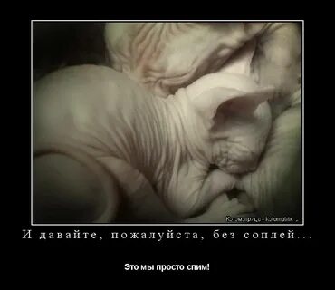 Сопеть это