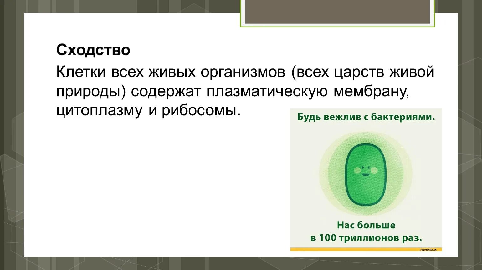 Сходство живых клеток. Сходство клеток всех организмов. Сходства клеток живых организмов. Сходства всех клеток. Признаки сходства клеток всех живых организмов.