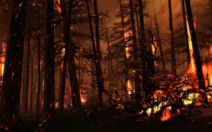 Burned forest. Burnt forest. Лесной пожар на острове калимантан (1982 г. Лесные пожары в бразилии. Burned destroyed forest.