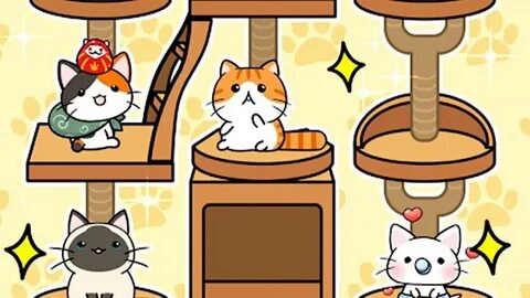 Where is kitten