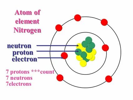 Proton neutron