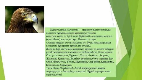 Баудағы GIF суреттері