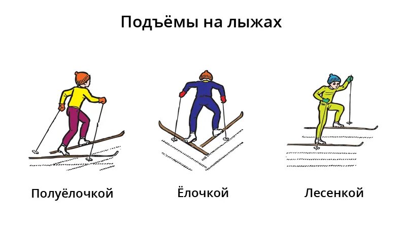 Дорога состоит из подъема и спуска. Техника преодоления подъемов «полуелочкой». Виды подъема в гору на лыжах. Способы подъемов и спусков на лыжах. Способы преодоления подъемов на лыжах.