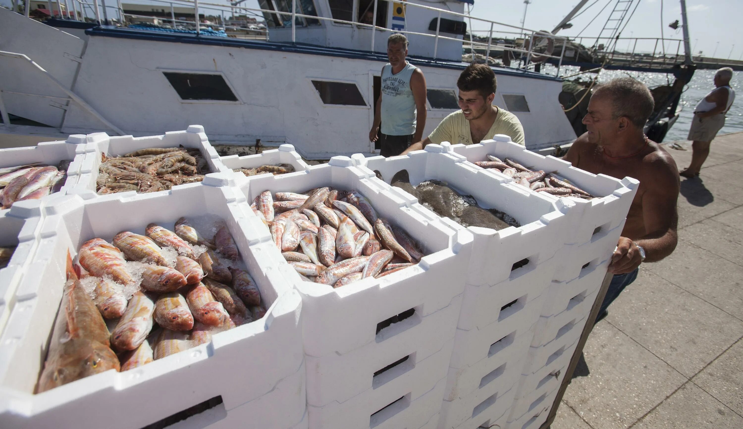 Департамент рыбного хозяйства и аквакультуры (фао). Морской заговор фильм. Рыбоводство в узбекистане. Продовольствие морей. Морской заговор тайна устойчивого рыболовства постер.