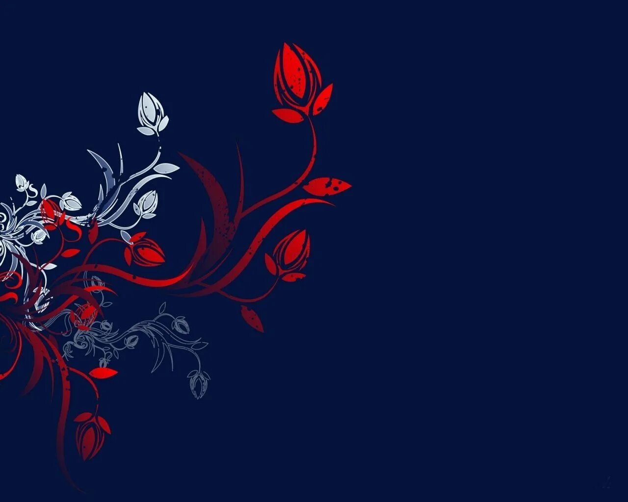 Красивое сердце на черном фоне. Красные узоры на черном фоне. Черный фон красный рисунок. Цветные узоры на черном фоне. Картины в красно черных тонах.