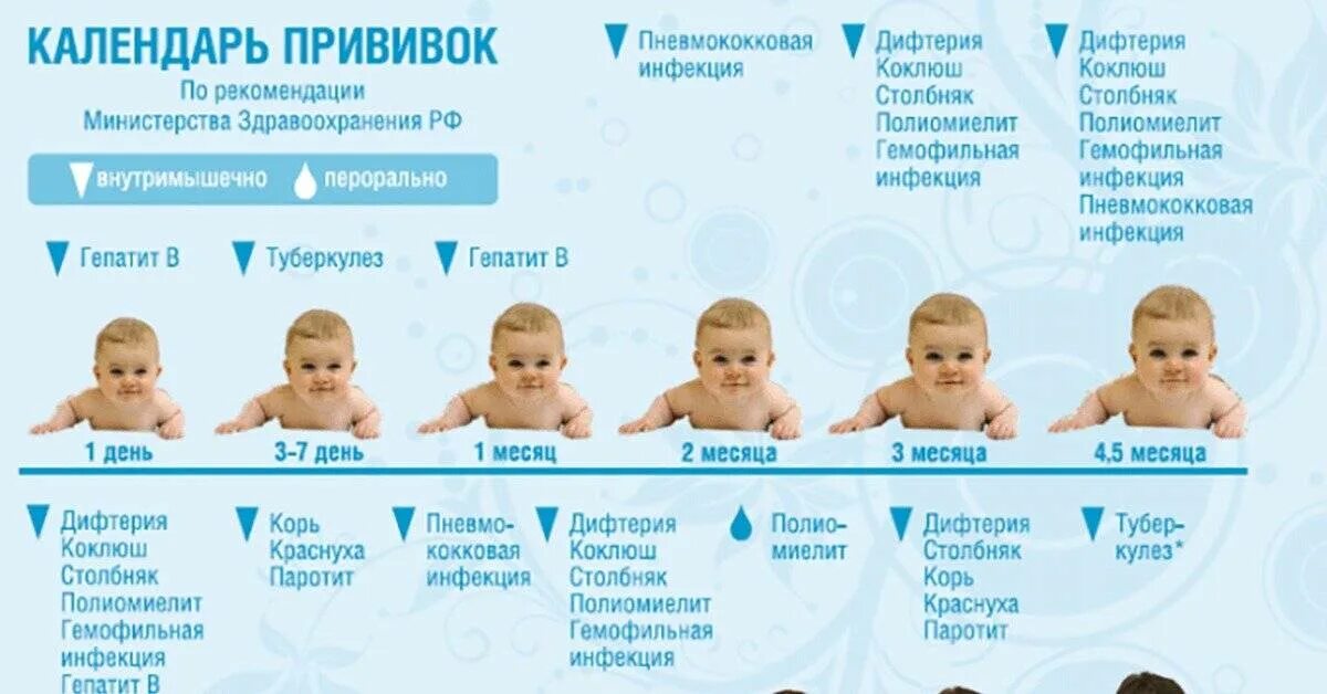 Какие прививки делают новорождённым в 2 месяца. Календарь прививок для детей до 3 лет в России таблица 2022. Какие прививки делают в 2 месяца новорожденному. Календарь прививок для детей до 3 лет в России 2022г. В садик какие прививки
