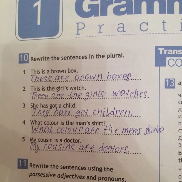 3 read the sentences and translate. Rewrite the sentences in the plural. Write the sentences in the plural. Say the sentences in the plural. Say the sentences in the plural 3 класс.