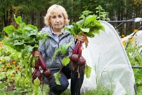 Садовод урожай