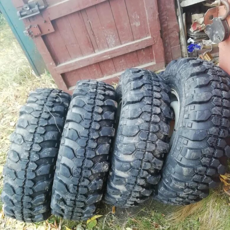 Сильверстоун шины 31. Форвард сафари 500 31х10. Forward safari 500 31x10. Сильверстоун 33х10. 5.