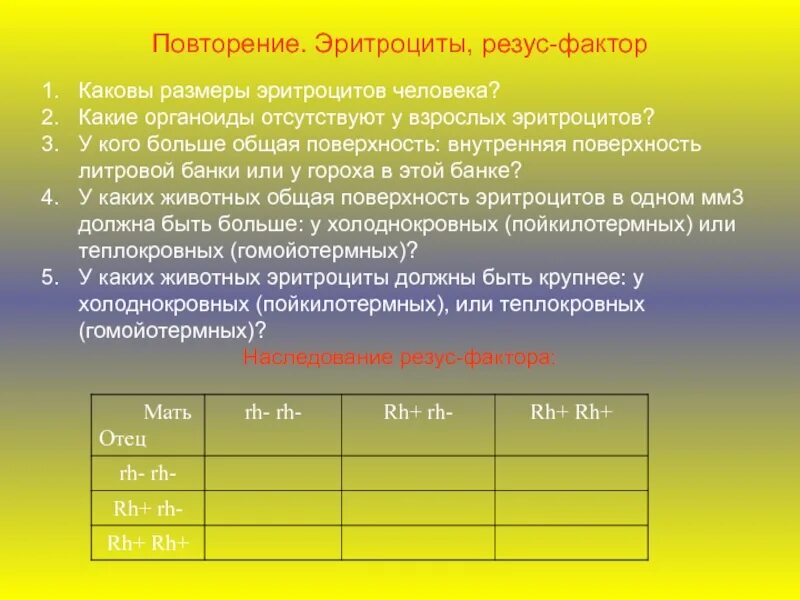 Диаметр эритроцита человека. Размер эритроцита человека. размеры эритроцитов размеры эритроцитов. каковы размеры эритроцитов человека.