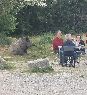 Приколы сейчас