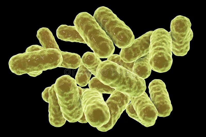 Палочковидные микробы. Бактерии на черном фоне. Enterobacter cloacae под микроскопом. Энтеробактер. Enterobacter cloacae что это