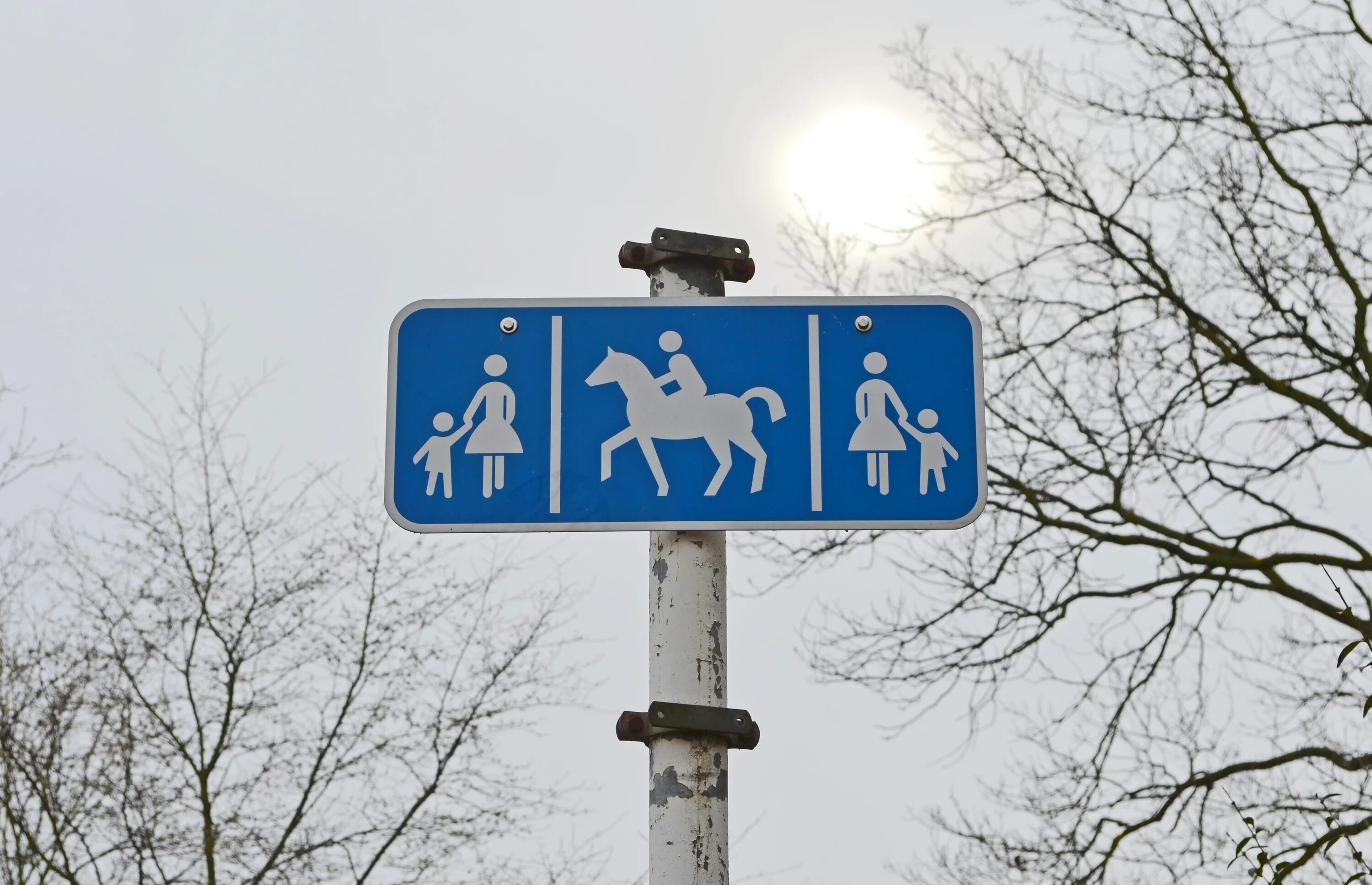 Упал дорожные знаки. Вывеска дорожные знаки. Дорожный знак с лошадью. Знак дорожка для всадников. Дорожные знаки с птицами.