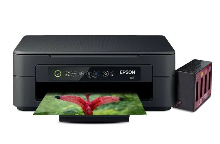 Купить принтер xp. МФУ Epson XP-2100+СНПЧ. Эпсон XP 2100. Принтер Epson XP 2100. Epson expression Home XP-2100 СНПЧ.
