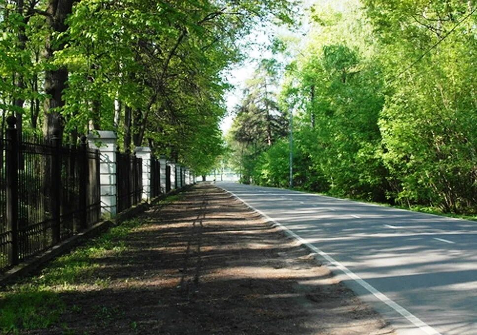 Дворцовый проезд