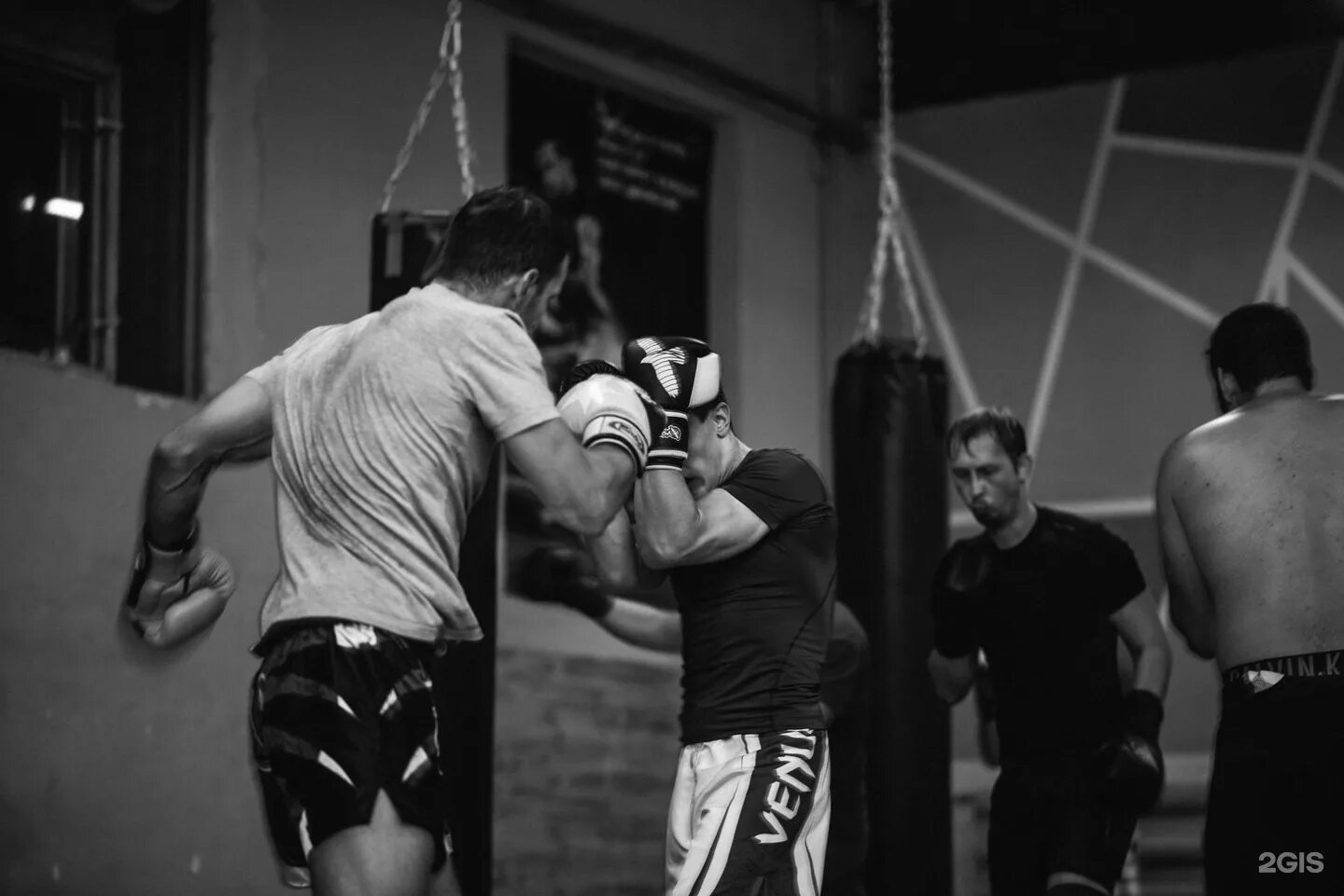 Витязь самара клуб единоборств. Секция смешанных единоборств в самаре. Спортзал витязь самара. Мма самара секция. Спортивный клуб воин.