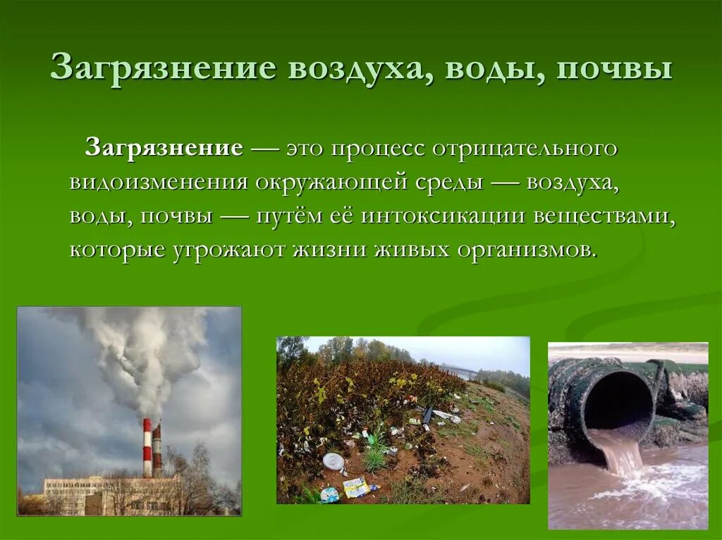 Проблемы экологии презентация