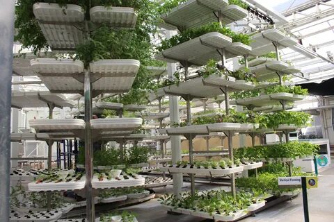 City farm