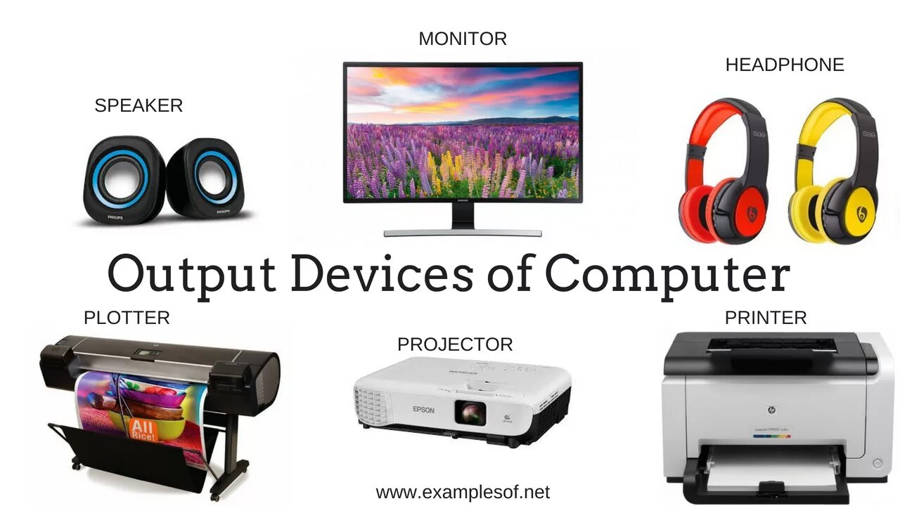 Устройства вывода. Output devices. Output devices of Computer. Устройства вывода картинки без фона. Output units