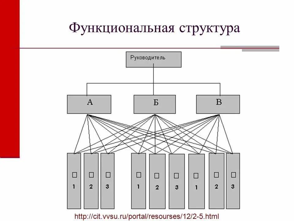 Функциональные связи между структурными элементами. Функциональные связи между структурными элементами