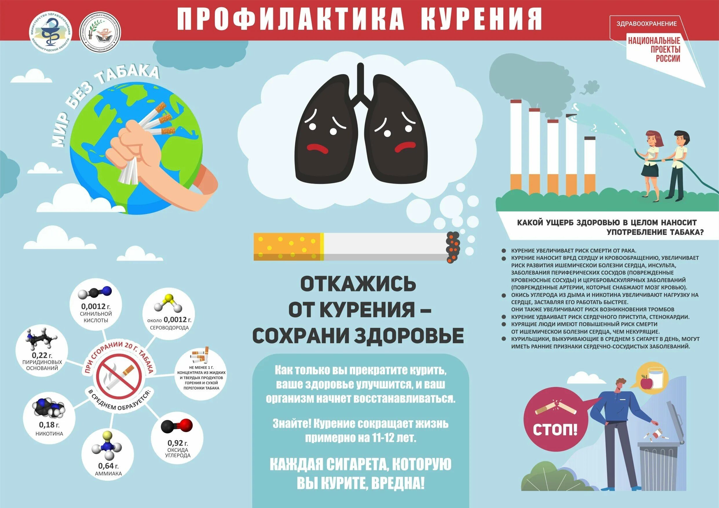 Какой праздник 11 мая. 31 мая 2025 всемирный день без табака. день отказа от курения. всемирный день отказа от курения. акция всемирный день отказа от курения.
