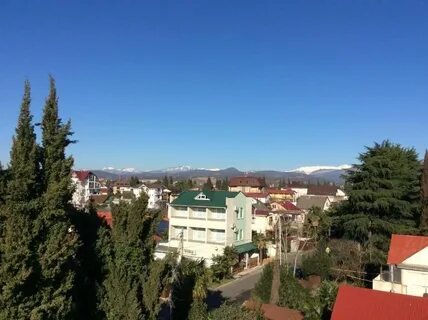 Апельсин адлер отзывы