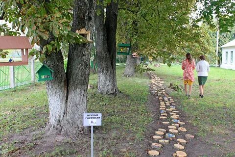 Тропинка в школу