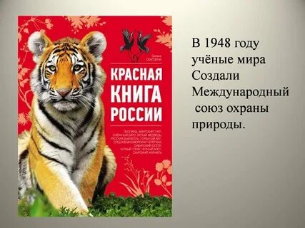 Животные россии красная книга презентация