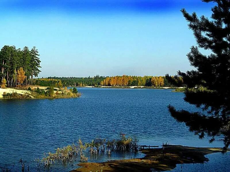 Озёра Курганской области. Голубые озера город Курган. Озеро Медвежье Курганская область. Озеро Акулинкино.