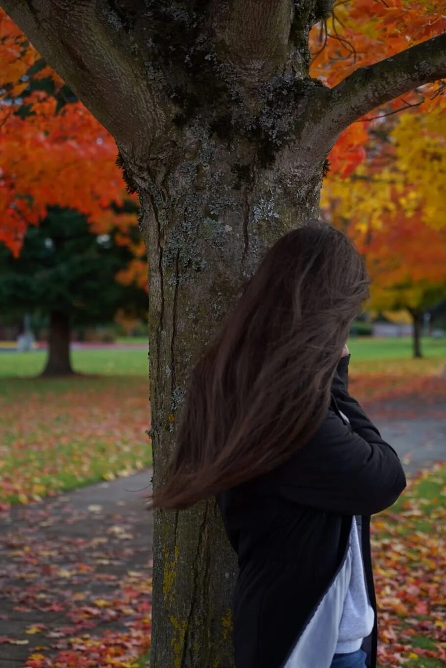Close Up of Woman Drinking Coffee in Autumn Park Stock Photo - Image of nature, 