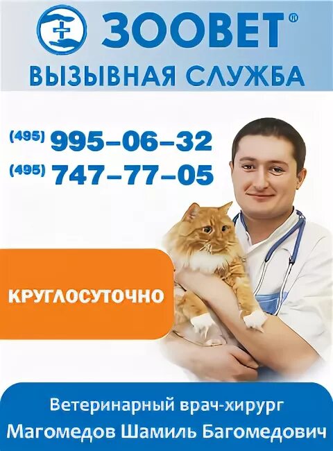 Зоовет работа. Зоовет ветеринарный центр круглосуточно. ветеринарная клиника зоовет отзывы. ветклиника зоовет уфа. клиника зоовет отзывы.