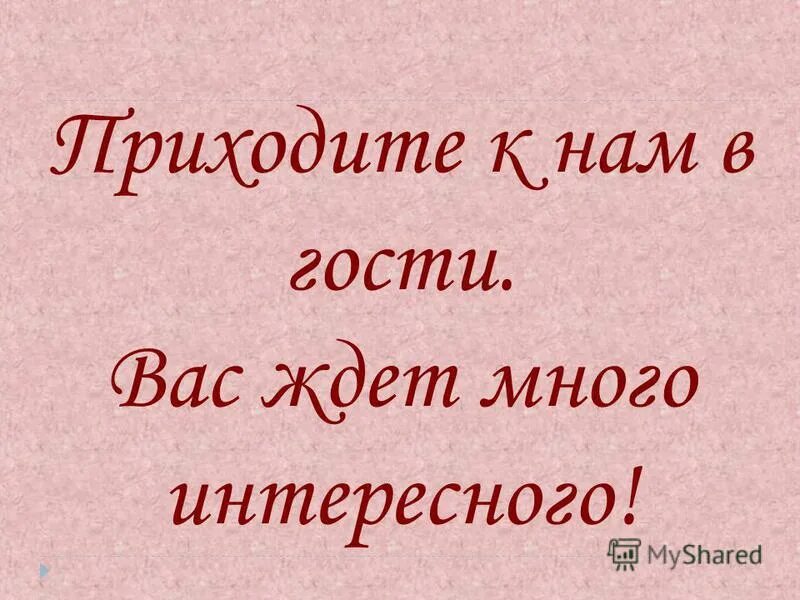 Книжный фестиваль красная площадь. Ждало много интересного. Путешествие автостопом. Идеи для творческой фотосессии. Настоящий друг.