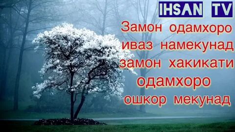 Замон