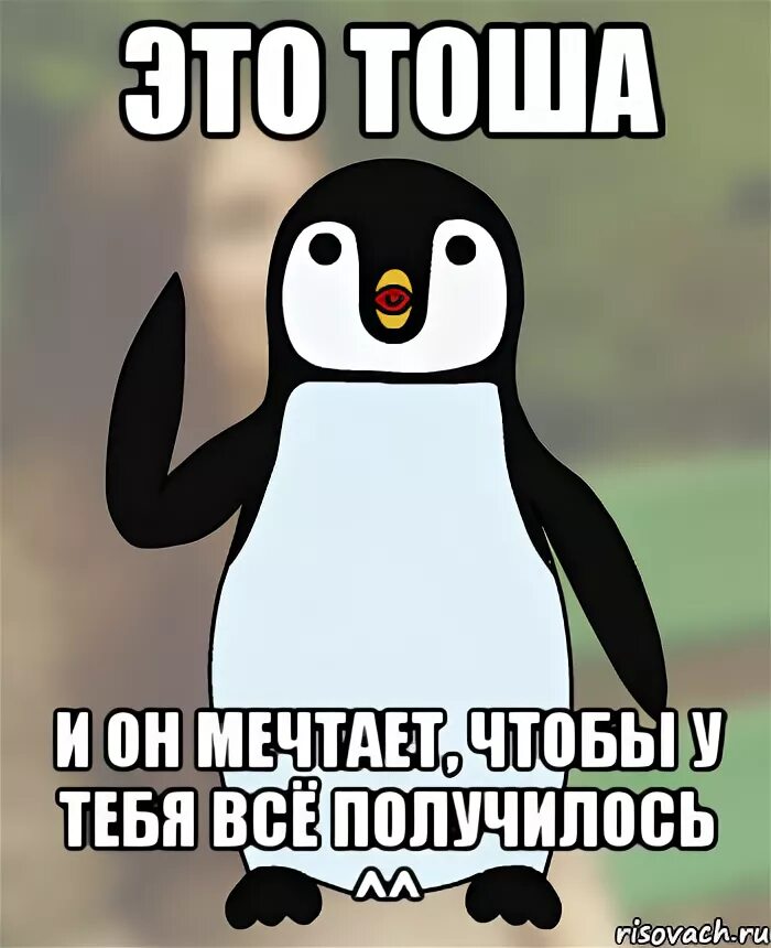 Мем справимся. У тебя все получится. Ты справишься я в тебя верю. Все получится Мем. Ты справишься Мем.