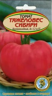 Описание сорта томатов тяжеловес сибири