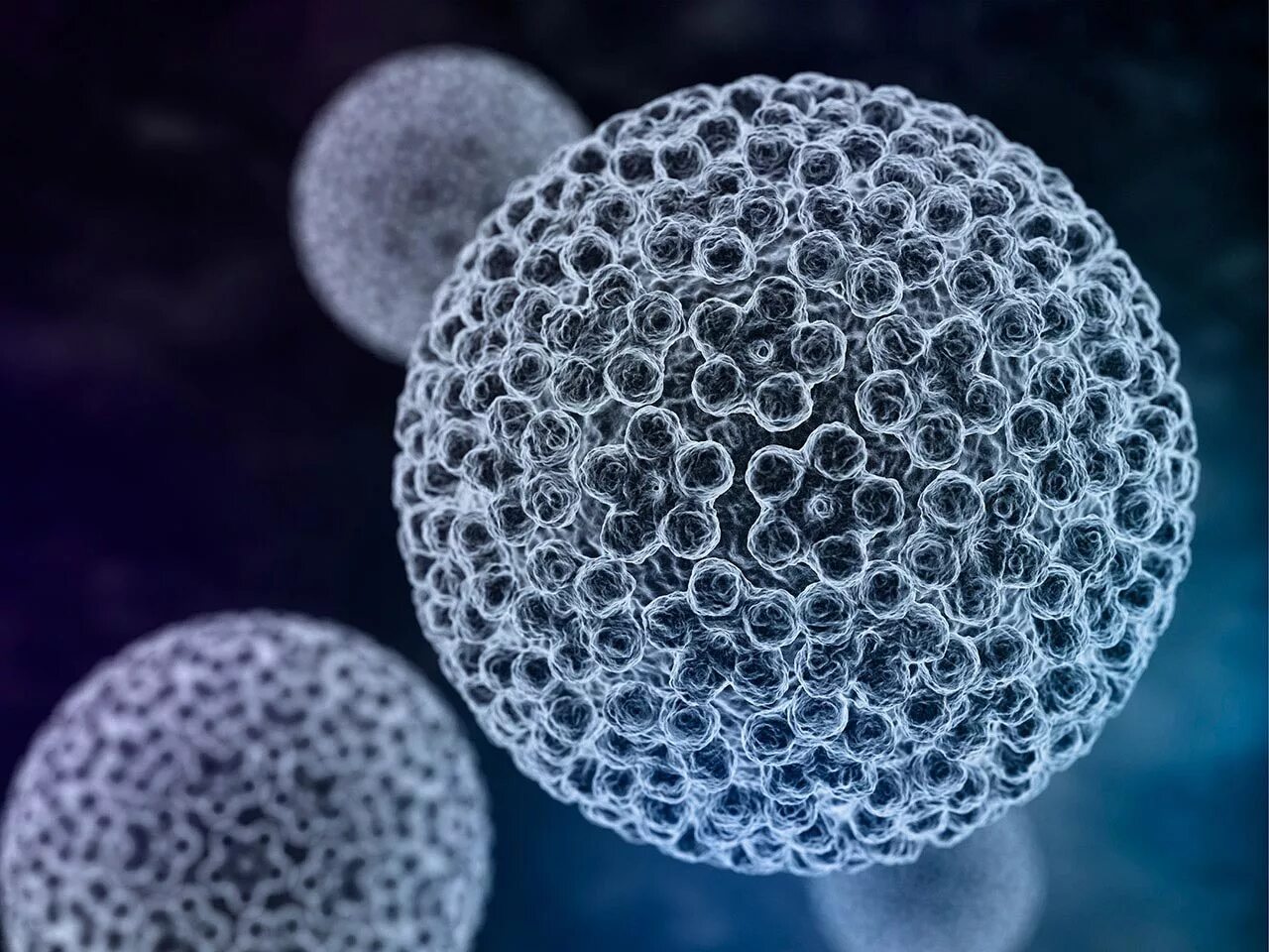 Papilloma virus. Вирус папилломы человека под микроскопом. Вирус папилломы под микроскопом. Папилломавирус человека под микроскопом. Папилломавирус ВПЧ под микроскопом.