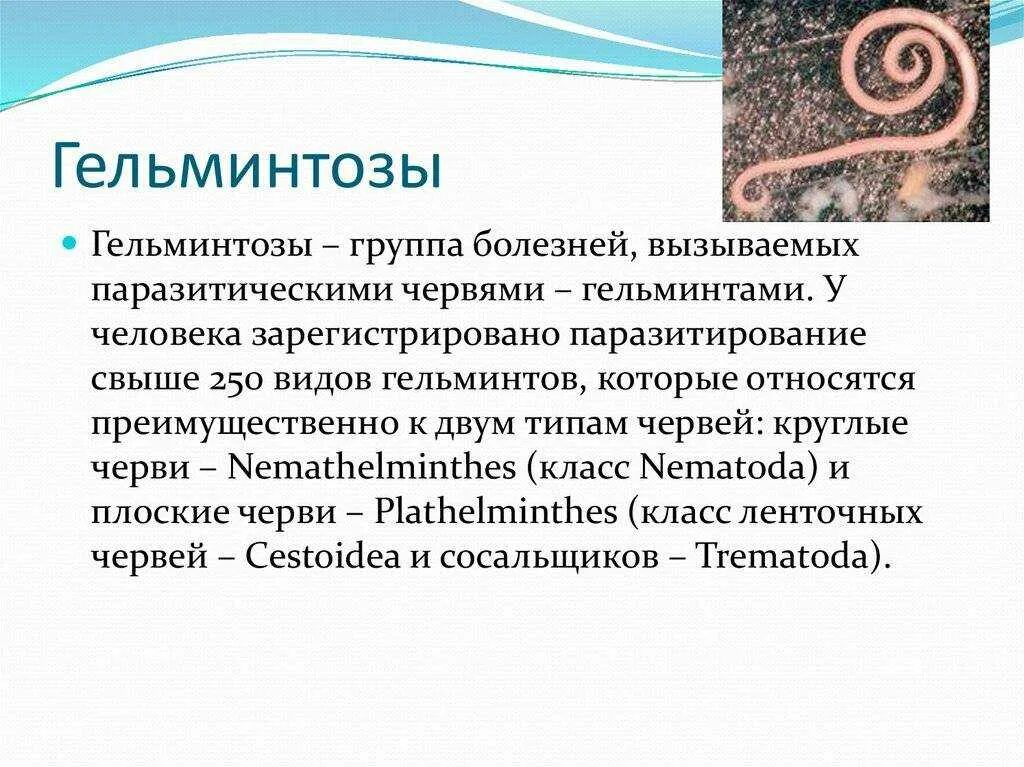 Почему подверженность заражению паразитами наиболее высока