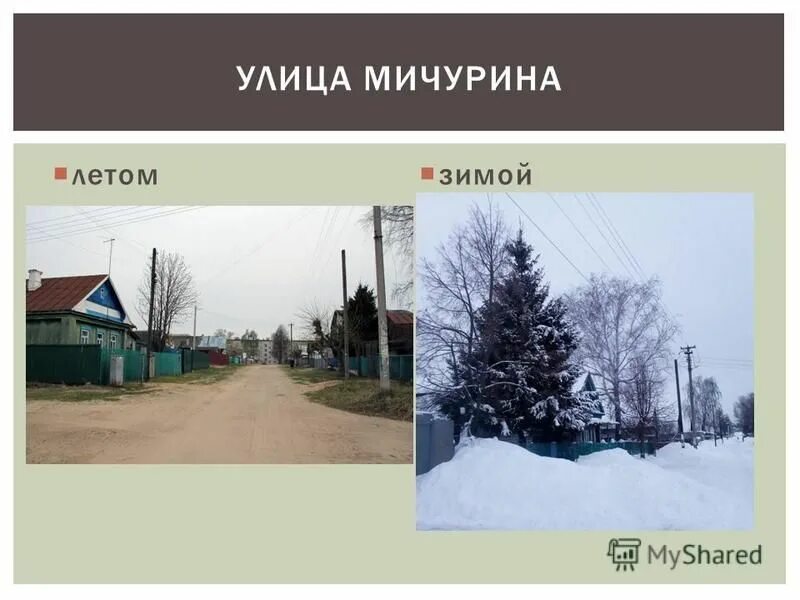 Доверие мичурина