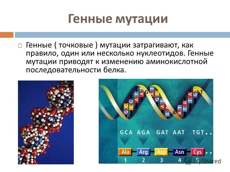 Мутация гена что это. Изменение структуры ДНК. Типы мутации ДНК.