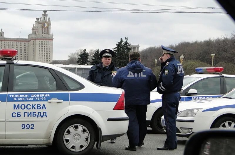 Сайт гибдд тамбовской области. Служба доверия ГИБДД. Телефон доверия ГИБДД. Телефон доверия ДПС.