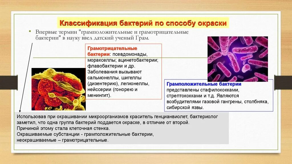 Методы окрашивания мазков микробиология. Специальные методы окраски в гистологии. Виды способов окраски. Простые и сложные методы окраски в микробиологии. Виды окрашивания бумаги.