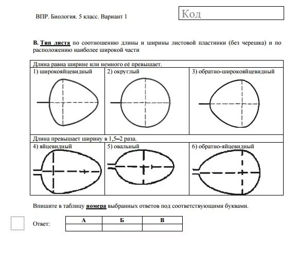 Впр биология шестой класс первый вариант