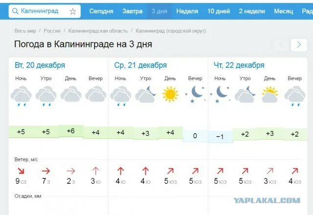 Погода в светлогорске на неделю самый точный. Калининград температура. Климат Калининградской области по месяцам. Погода в Калининграде. Калининград погода зимой.