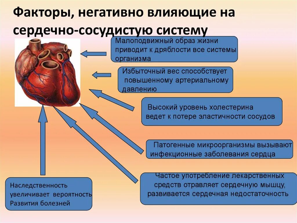 Привести к нарушению функционирования. Факторы негативно влияющие на сердечно-сосудистую систему. Факторы негативно влияющие на ССС. Памятка гигиена сердечно сосудистой системы. Факторы негативно влияющие на сосудистую систему.