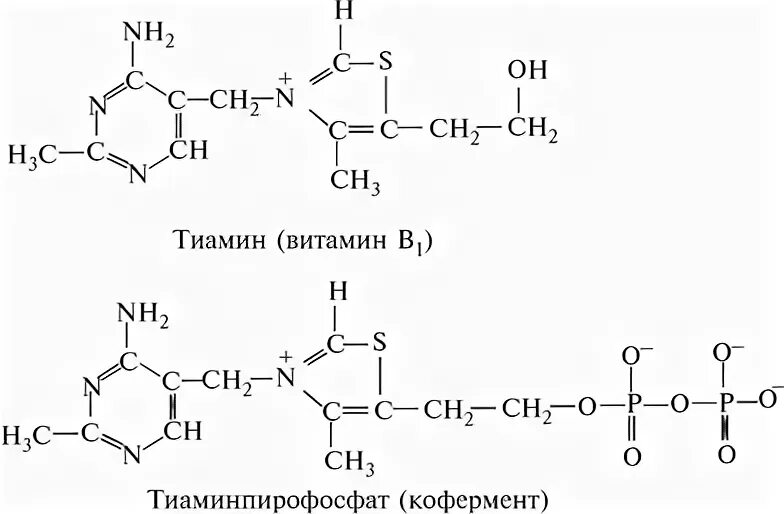 Коферментная форма витамина в1 формула. Кофермент тиамина витамина в1. Тиамин формула кофермента. Тиамин строение.