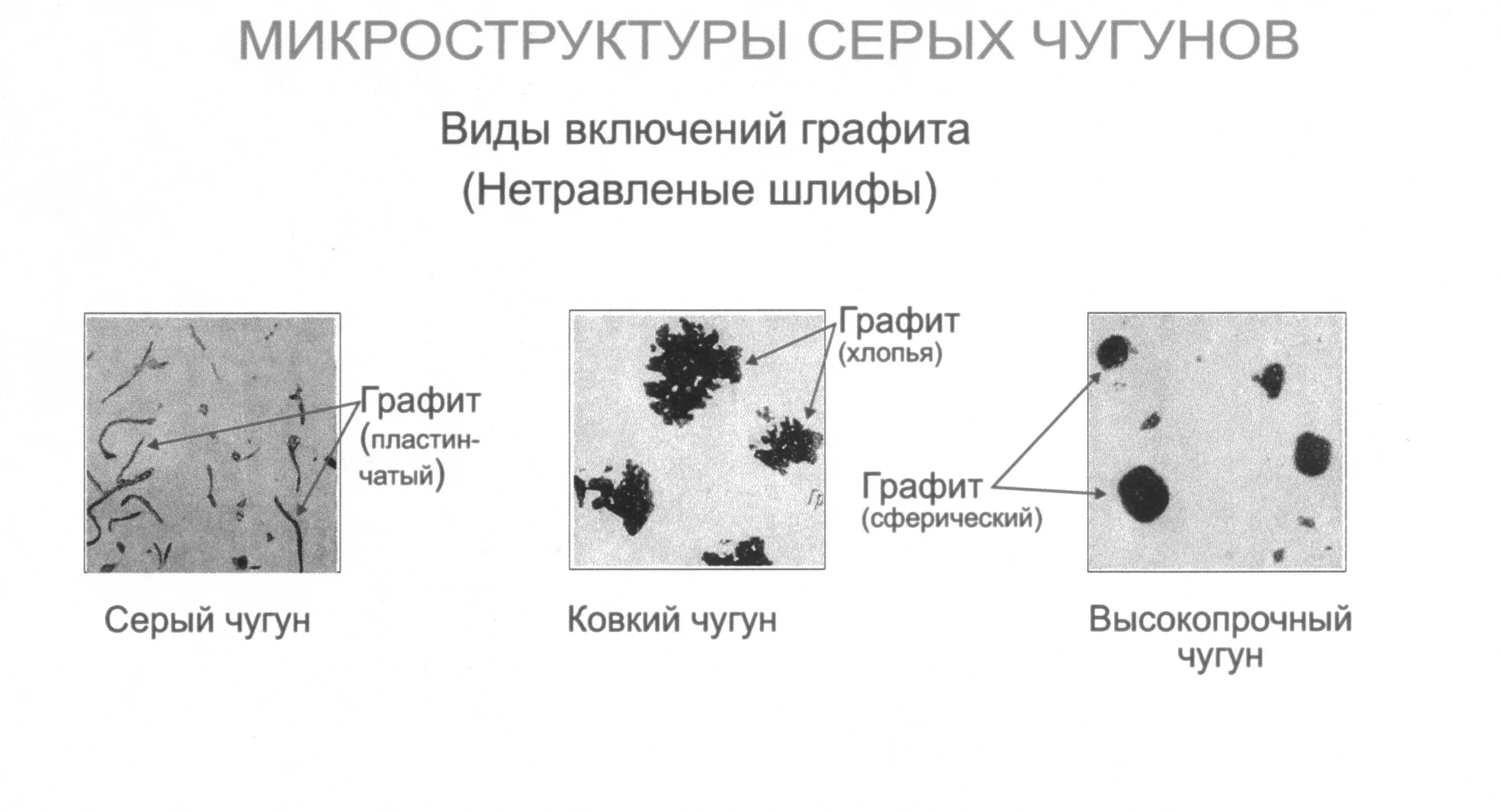 Высокопрочный чугун вч40 микроструктура. Феррито-перлитный чугун структура. Шлиф структуры чугуна. Белый и серый чугун микроструктура. Какой чугун изображен на рисунке