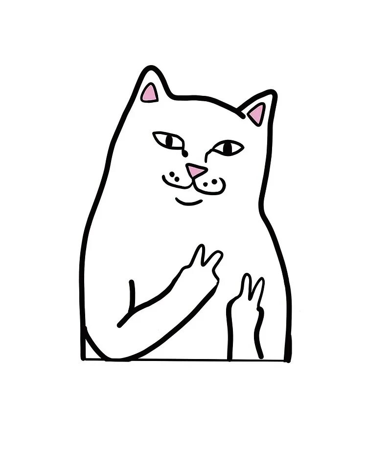 Кот ripndip. Термонаклейка "кот". Кот ripndip. Rip n dip. Шапка ripndip.