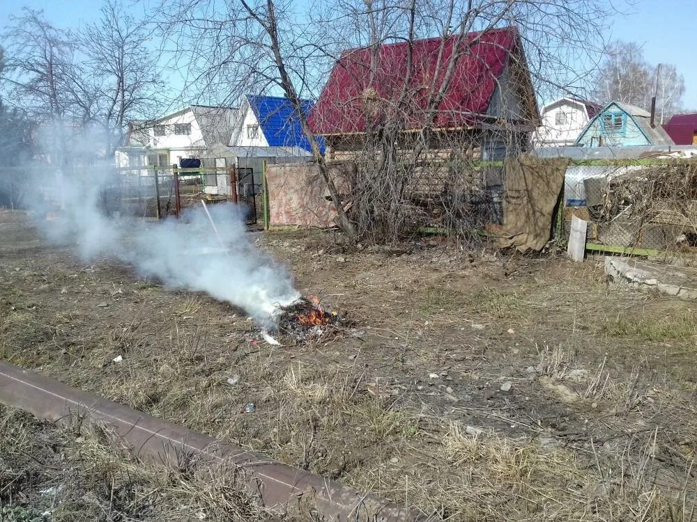 Можно ли сжигать траву на своем участке