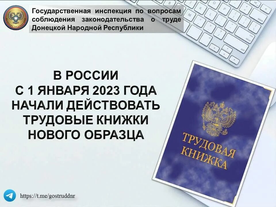 Приказ 320н от 19. Сведения по форме стд-р. Приказ минтруда. Приказ об охране труда при использовании оборудования. Приказ 767н.